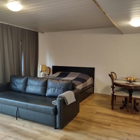 Spacieux Studio 38M2 Les Paccots Exterior photo